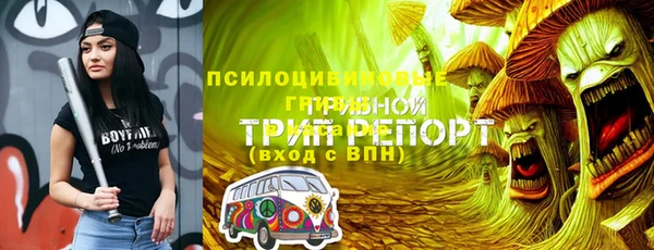 mdpv Строитель