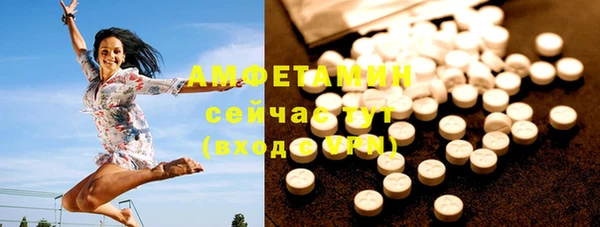 дживик Сясьстрой