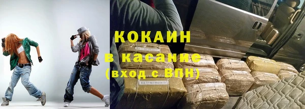 дживик Сясьстрой
