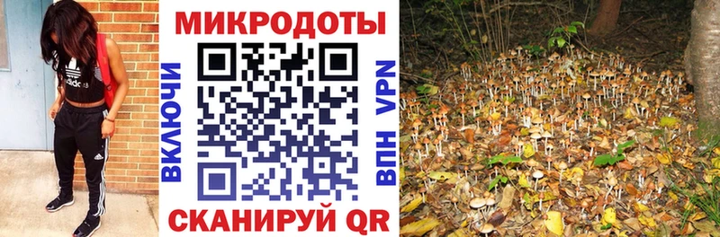 Галлюциногенные грибы мицелий  Купить где  Бахчисарай 